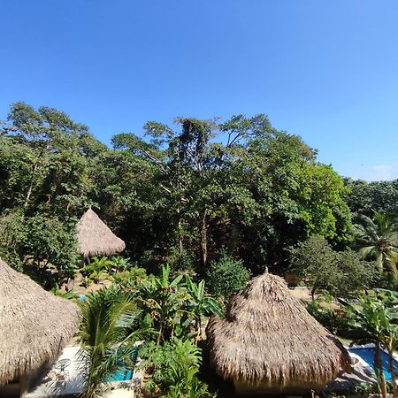Bed and Breakfast Colibri Parque Tayrona Dentro Del Parque Nacional Tayrona El Zaino Esterno foto