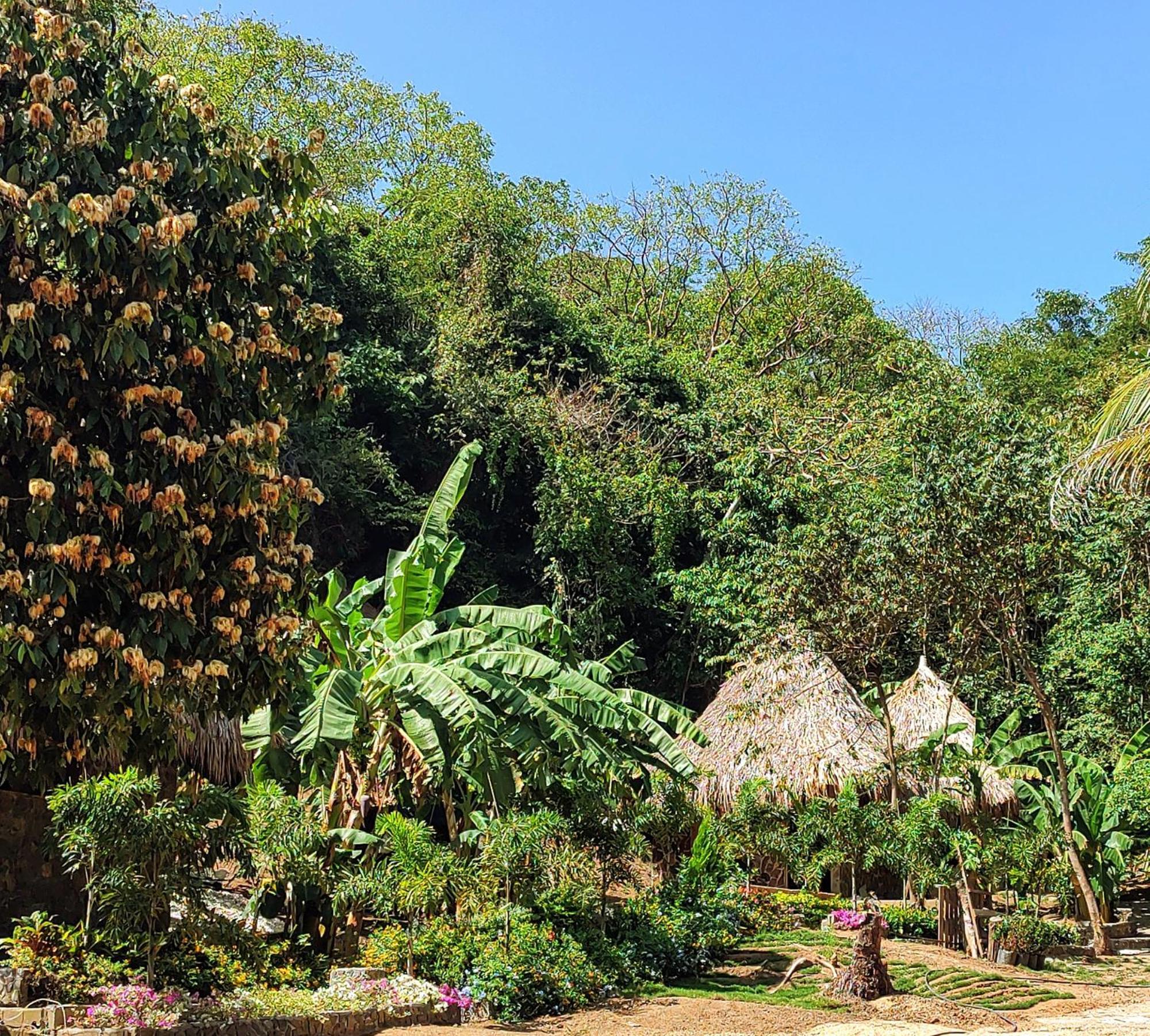 Bed and Breakfast Colibri Parque Tayrona Dentro Del Parque Nacional Tayrona El Zaino Esterno foto