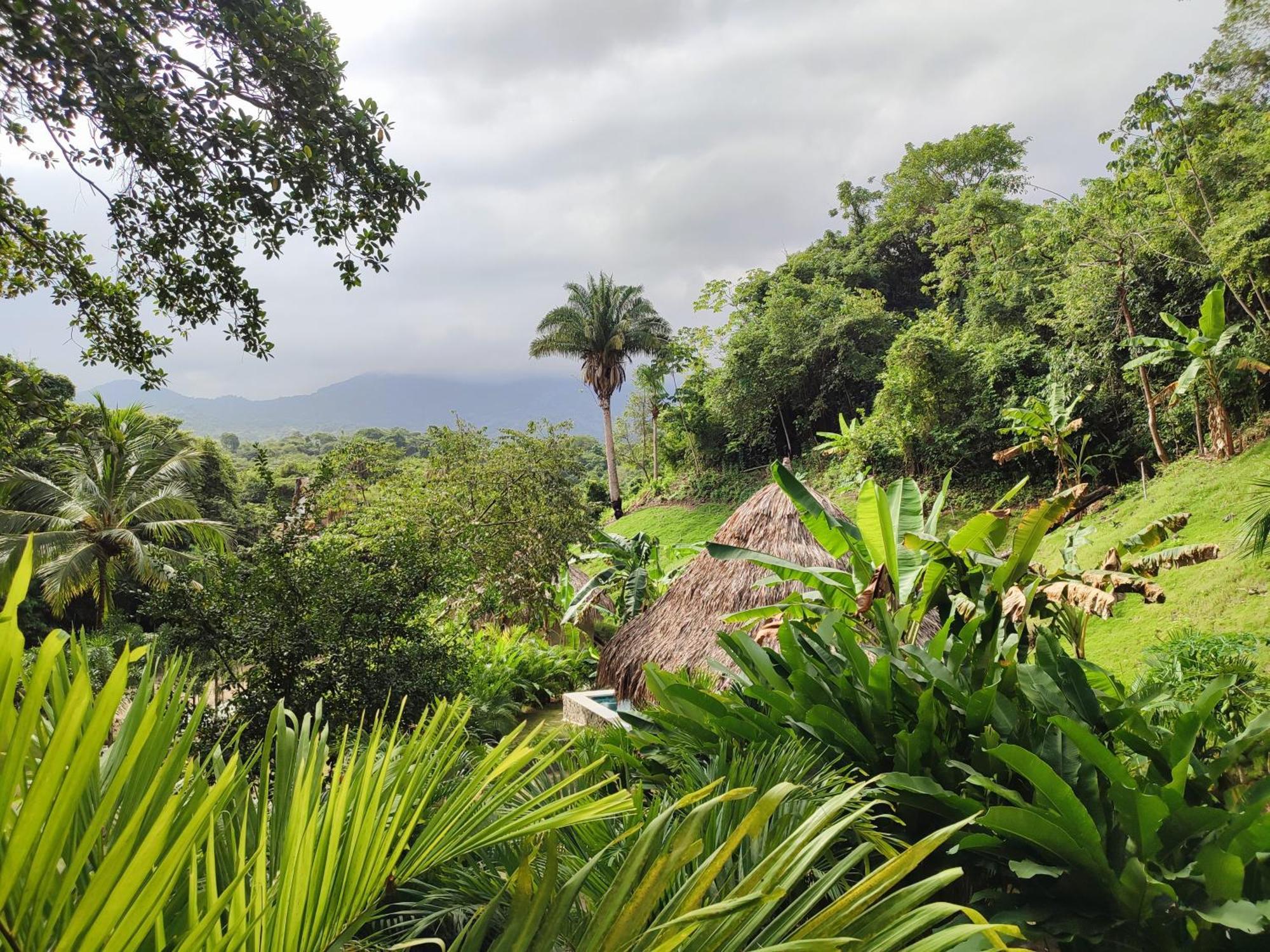 Bed and Breakfast Colibri Parque Tayrona Dentro Del Parque Nacional Tayrona El Zaino Esterno foto
