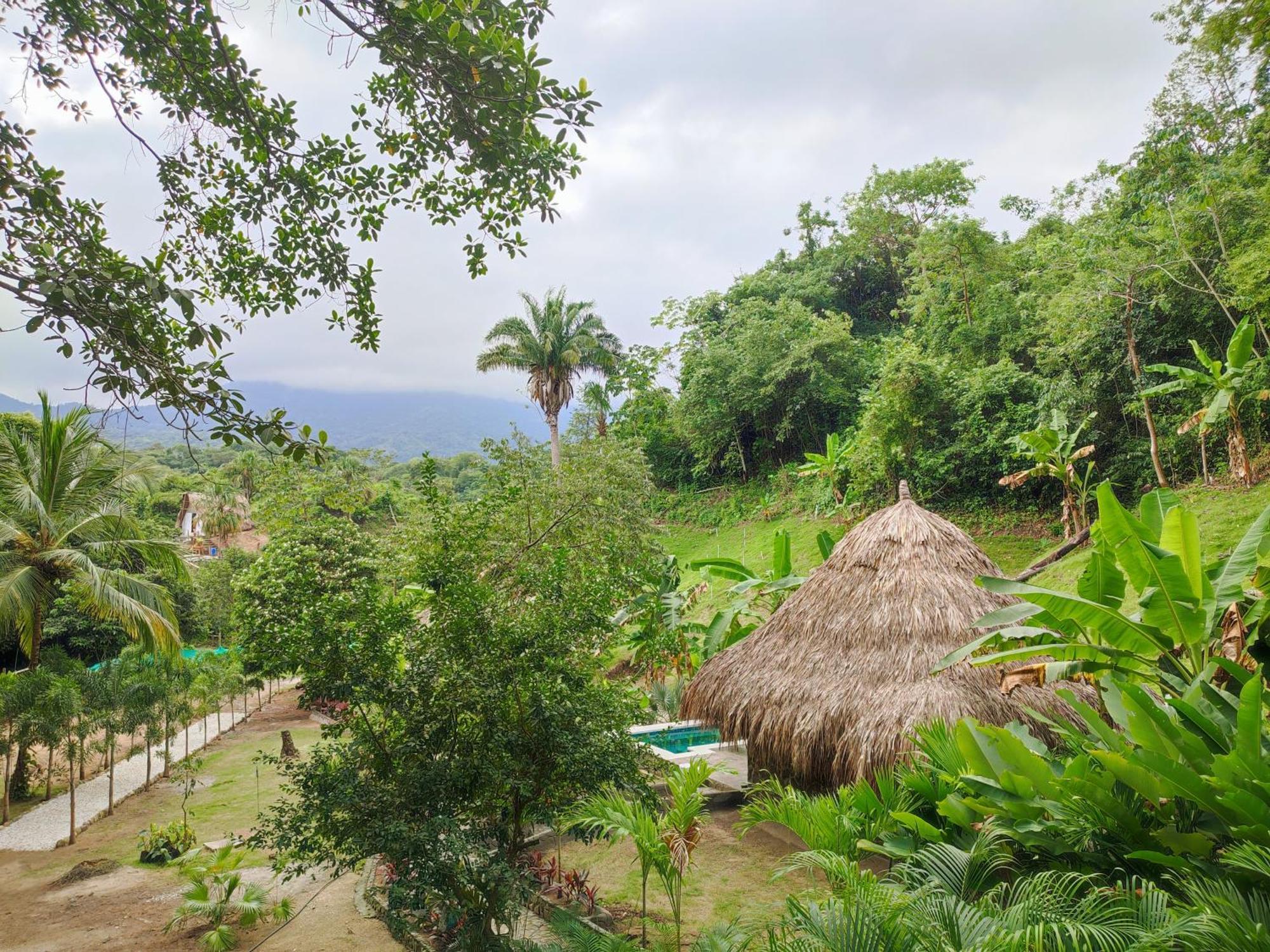 Bed and Breakfast Colibri Parque Tayrona Dentro Del Parque Nacional Tayrona El Zaino Esterno foto