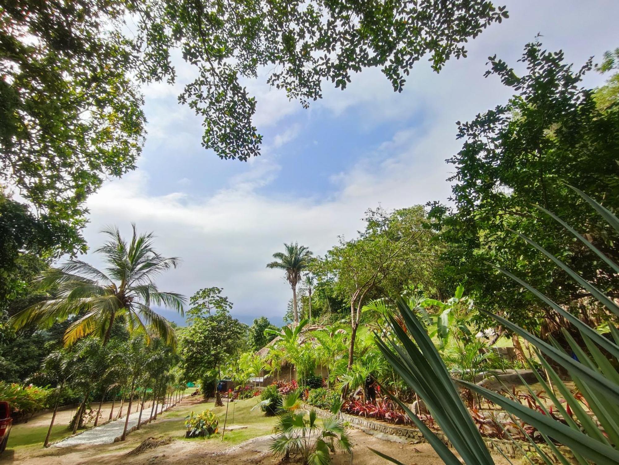 Bed and Breakfast Colibri Parque Tayrona Dentro Del Parque Nacional Tayrona El Zaino Esterno foto
