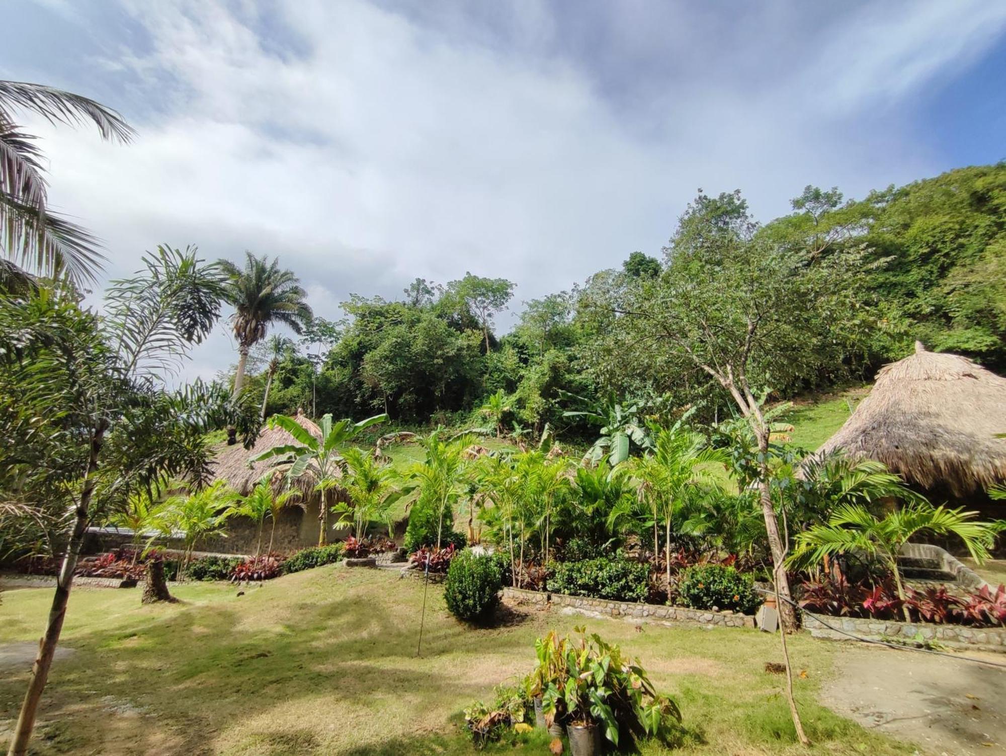 Bed and Breakfast Colibri Parque Tayrona Dentro Del Parque Nacional Tayrona El Zaino Esterno foto