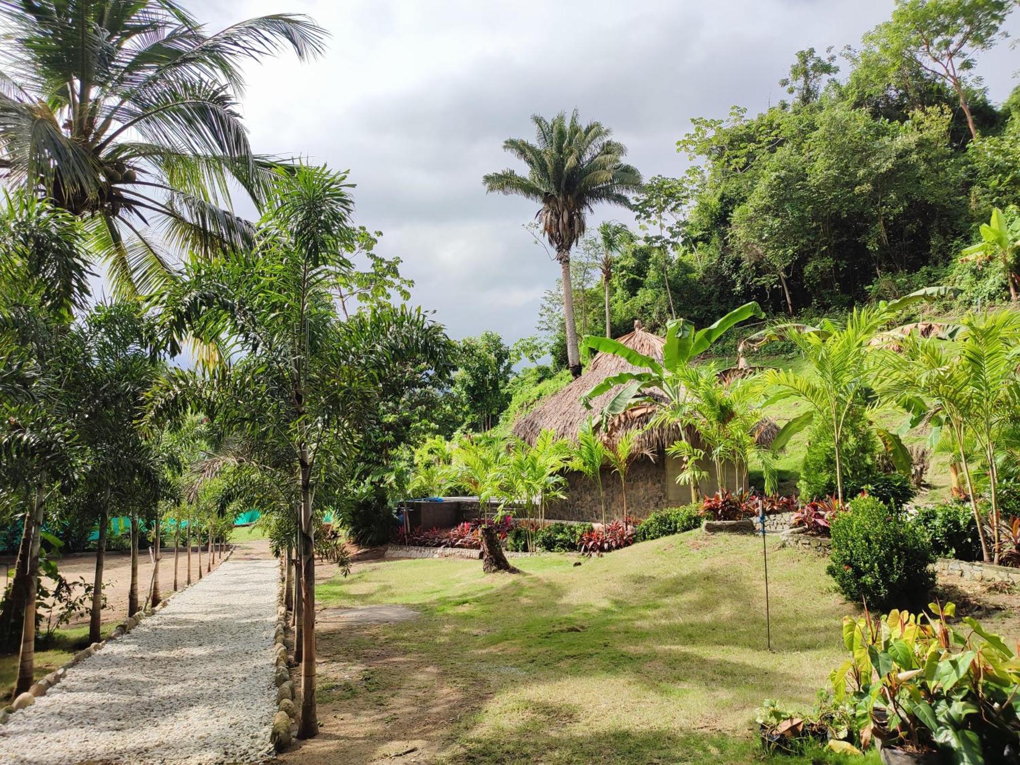 Bed and Breakfast Colibri Parque Tayrona Dentro Del Parque Nacional Tayrona El Zaino Esterno foto