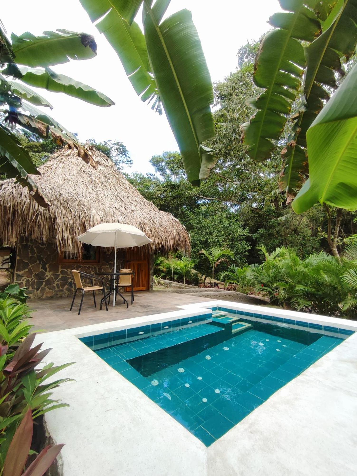 Bed and Breakfast Colibri Parque Tayrona Dentro Del Parque Nacional Tayrona El Zaino Esterno foto