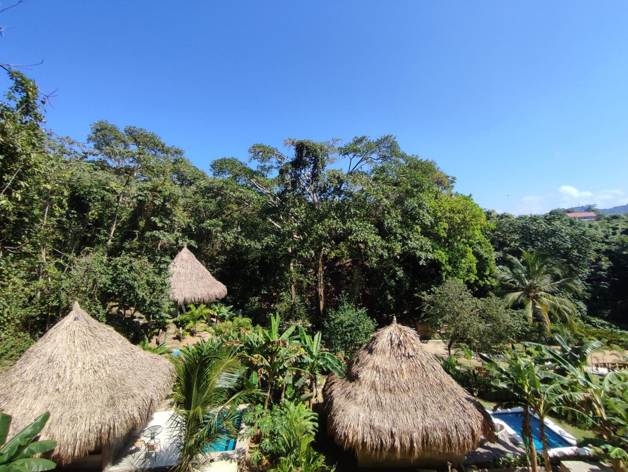 Bed and Breakfast Colibri Parque Tayrona Dentro Del Parque Nacional Tayrona El Zaino Esterno foto